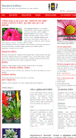 Mobile Screenshot of kvetiny-shop.cz